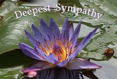 Deepest Sympathy Photographic Greeting Card Flower