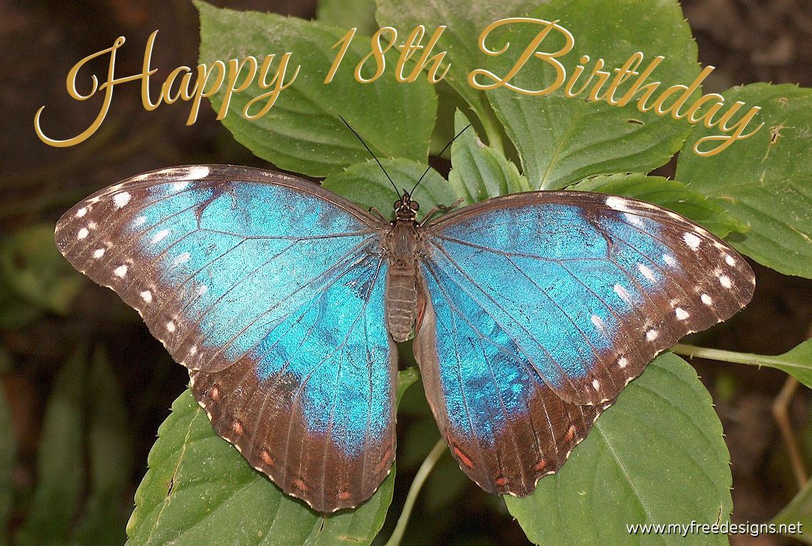 Happy Birthday 18th Photographic eCard Blue Morpho Butterfly