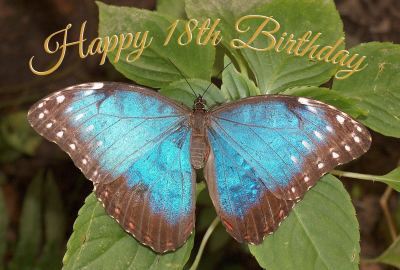 Happy Birthday 18th Photographic Greeting Card Blue Morpho Butterfly