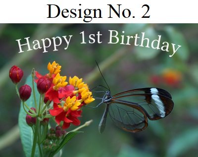 Happy 1st Birthday Photographic Greeting Card Glasswinged Butterfly