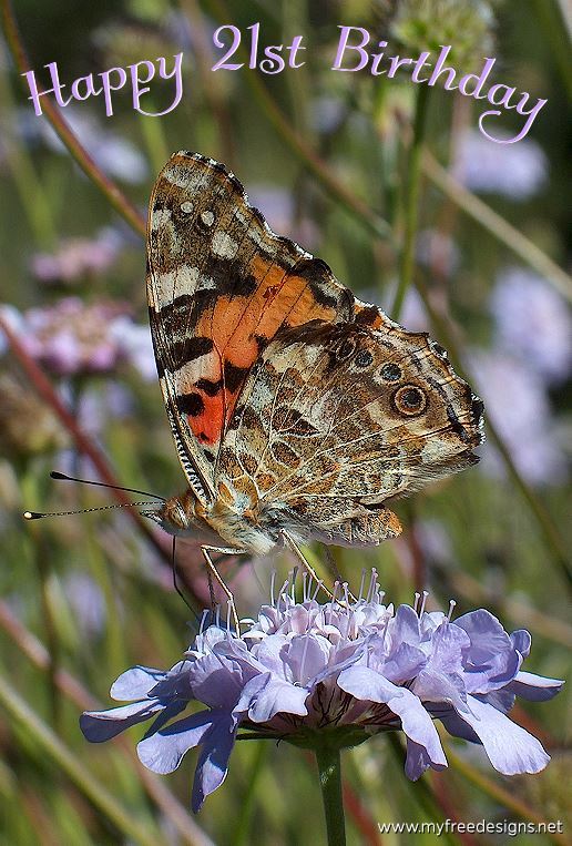 Happy 21st Birthday Photographic eCard Painted Lady Butterfly