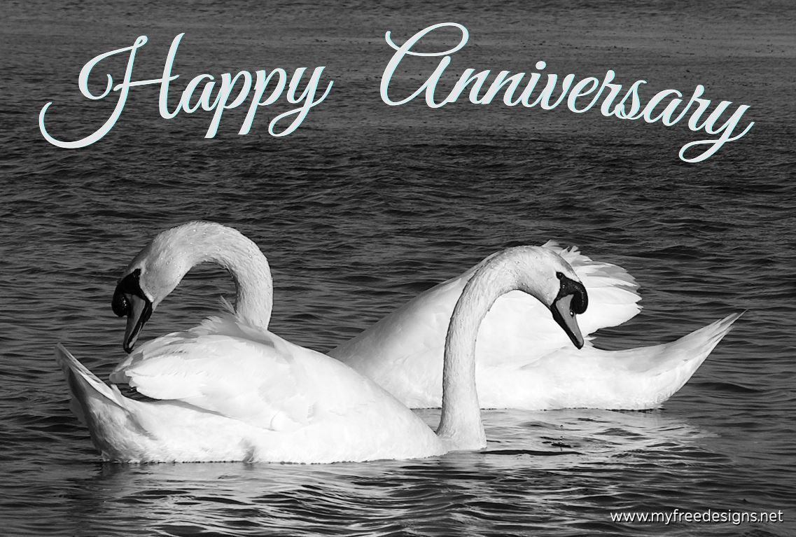 Happy Silver Anniversary Photographic eCard Swans