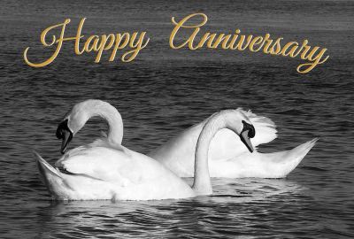 Happy Gold Anniversary Photographic Greeting Card Swans