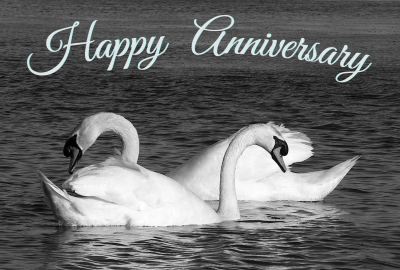 Happy Silver Anniversary Photographic Greeting Card Swans