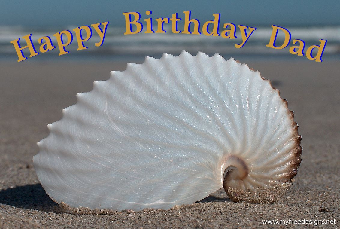 Happy Birthday Dad Photographic eCard Nautilus Seashell