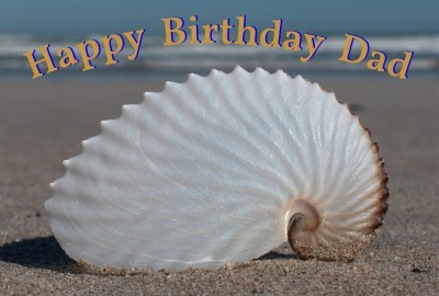 Happy Birthday Dad Photographic Greeting Card Nautilus Seashell