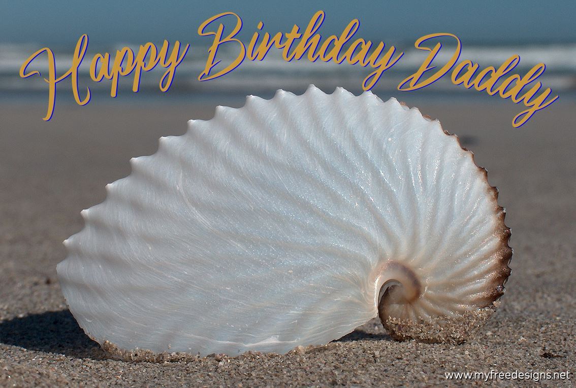 Happy Birthday Daddy Photographic eCard Nautilus Seashell