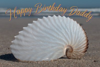 Happy Birthday Daddy Photographic Greeting Card Nautilus Seashell