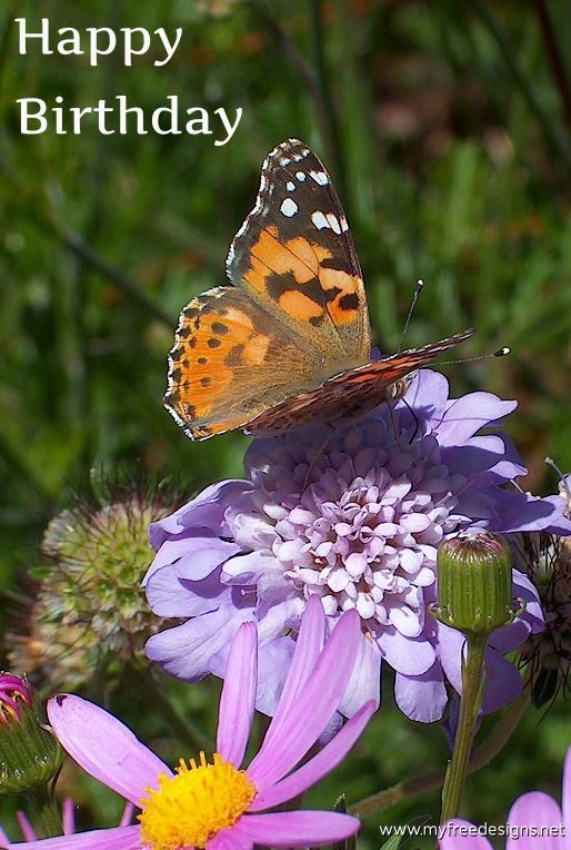 Happy Birthday Photographic eCard Painted Lady Butterfly