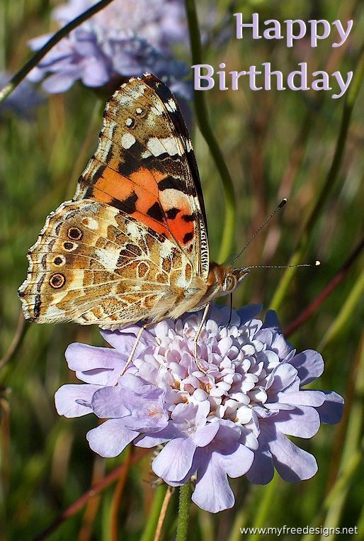 Happy Birthday Photographic eCard Painted Lady Butterfly