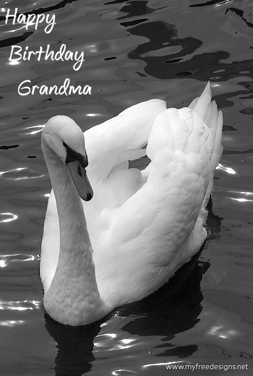 Happy Birthday Grandma Photographic eCard Swan