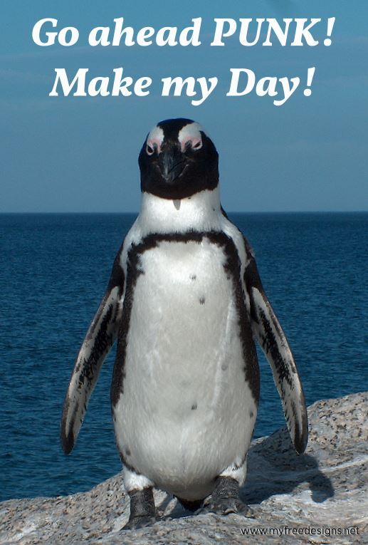 Humour Photographic eCard Penguin